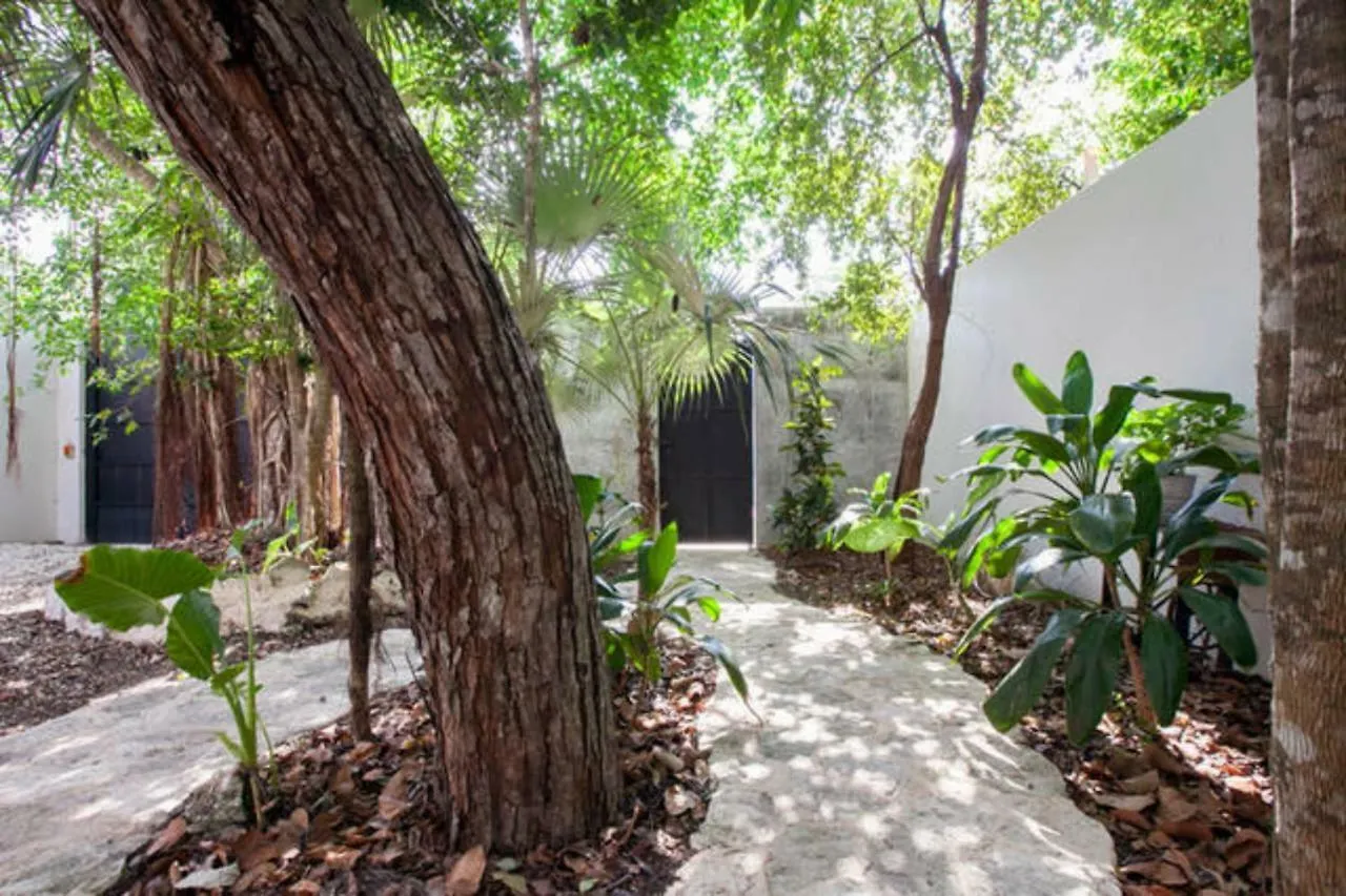 Feriehus Relaxing Casa Tzalam 3Br Surrounded By Nature By Happy Address Tulum Mexico