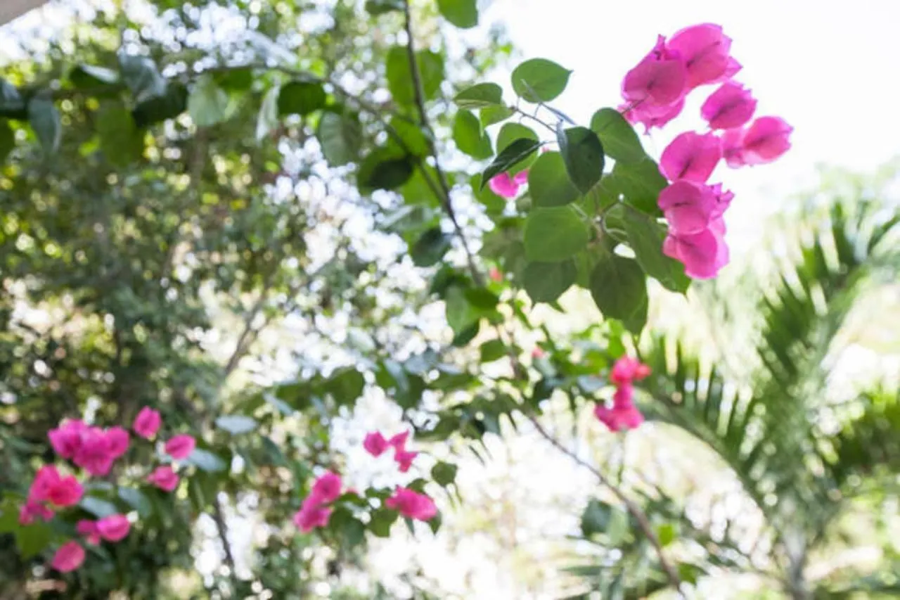 Relaxing Casa Tzalam 3Br Surrounded By Nature By Happy Address Tulum 0*,  Mexikó
